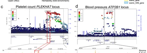 Blood-trait loci resolved in developing blood cells: PLEKHA7 (platelet count) and ATP2B1 (blood pressure).