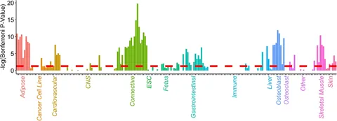 Bone-density heritability enrichment across 98 cell types, grouped by tissue (S-LDSC; red line = Bonferroni threshold).