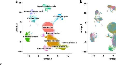 A single-nucleus atlas of hepatoblastoma and adjacent liver: cell types and their composition across samples.